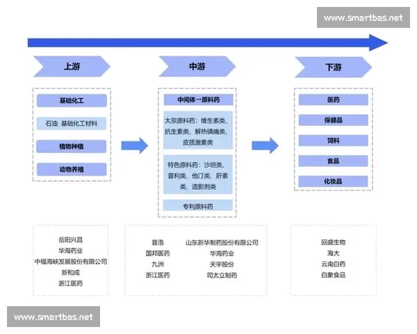 基于竞争格局分析的行业发展趋势与市场机会探索