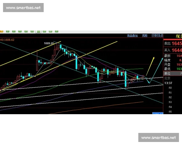 低位防守策略解析与实战应用全面提升篮球防守能力