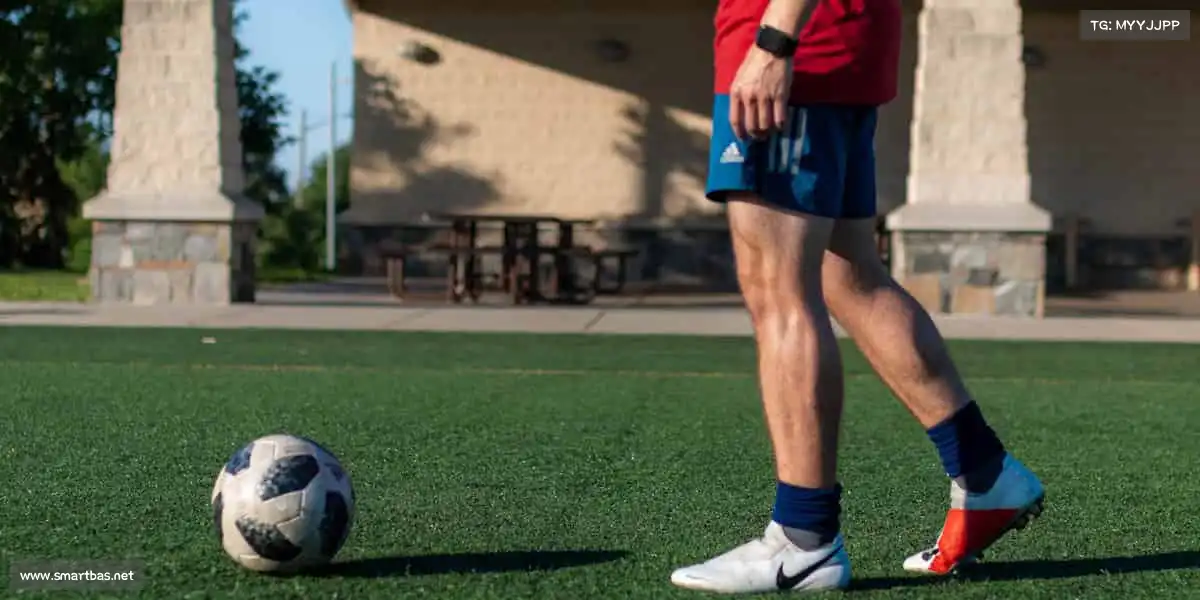 为什么选择我们